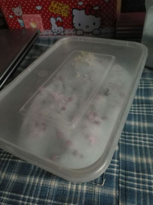 留住花开，凝固时间（花朵标本） 第4步