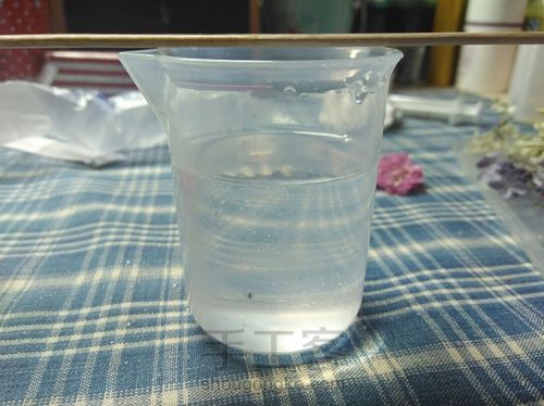 留住花开，凝固时间（花朵标本） 第8步