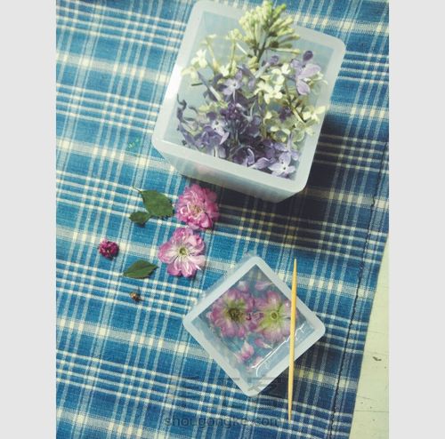 留住花开，凝固时间（花朵标本） 第9步