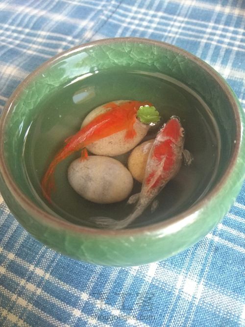 3d立体树脂画鱼~好运锦鲤 第14步