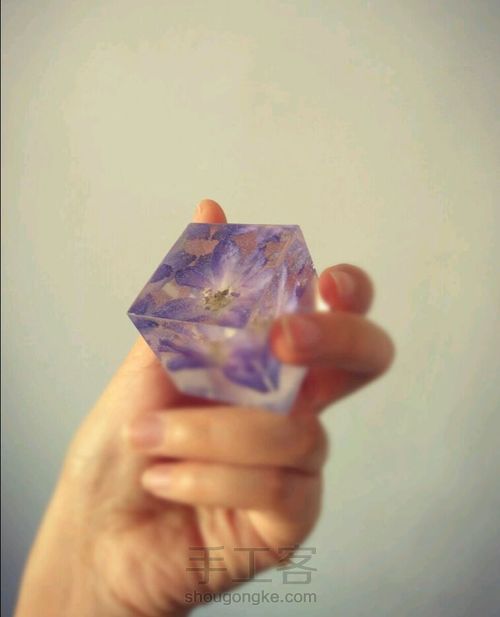 干燥板法制作押花 第12步