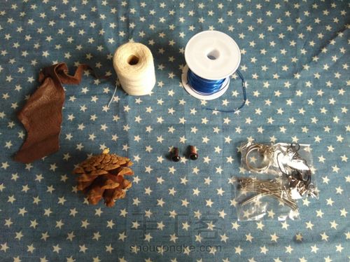 松塔猫头鹰 第1步