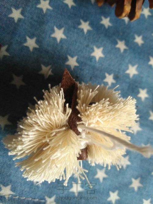 松塔猫头鹰 第12步