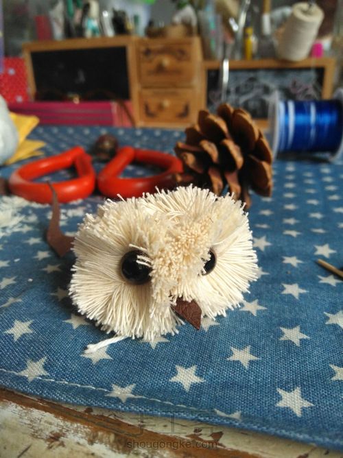 松塔猫头鹰 第13步