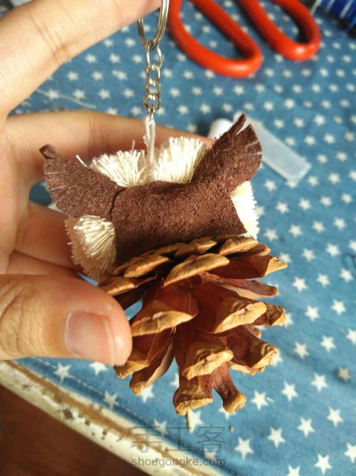 松塔猫头鹰 第17步