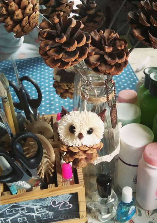 松塔猫头鹰 第18步