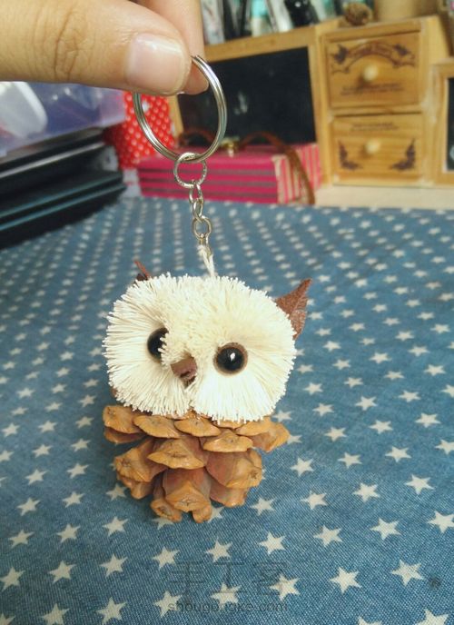 松塔猫头鹰 第19步