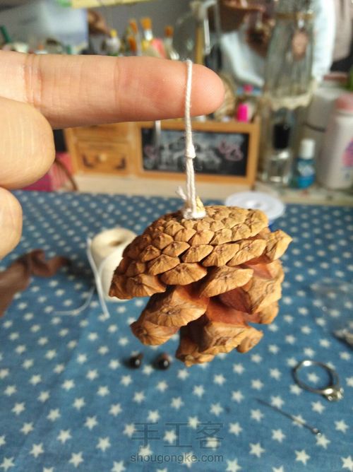 松塔猫头鹰 第2步