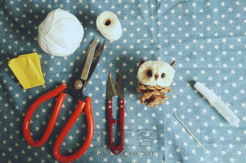 松塔猫头鹰 第24步