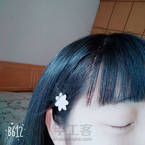 小雏菊发卡 第6步