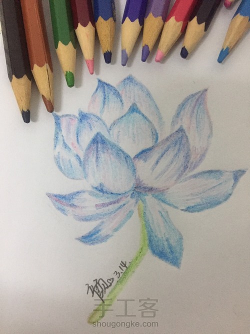 出水芙蓉 第5步