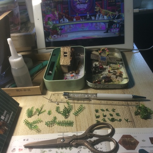 自己动手打造自己的花房和剧场❤ 第17步