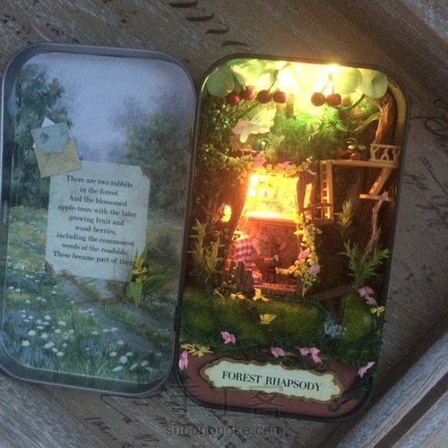 自己动手打造自己的花房和剧场❤ 第23步