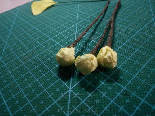 从容·纸藤银杏 第12步