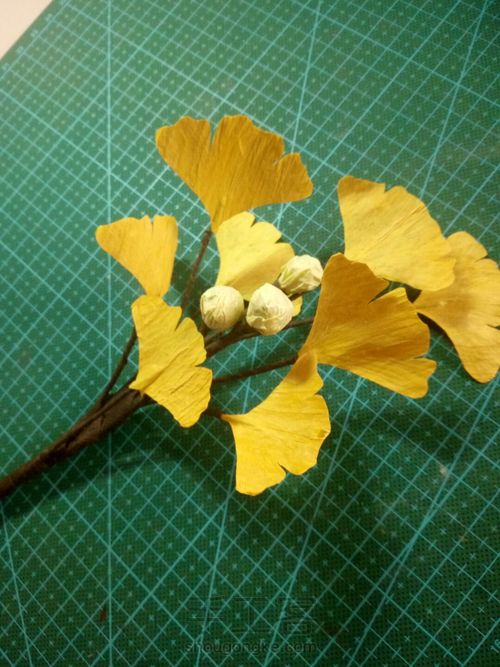 从容·纸藤银杏 第13步