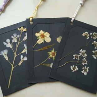 植物的艺术 书签制作