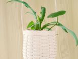 纸藤编制花篮，给你的绿植安一个家，为这个冷冬添一份绿色