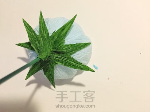 皱纹纸洋牡丹 第9步