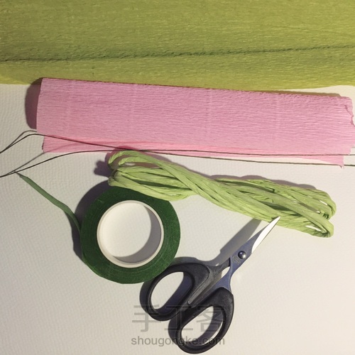 来自春天的小雏菊 第1步