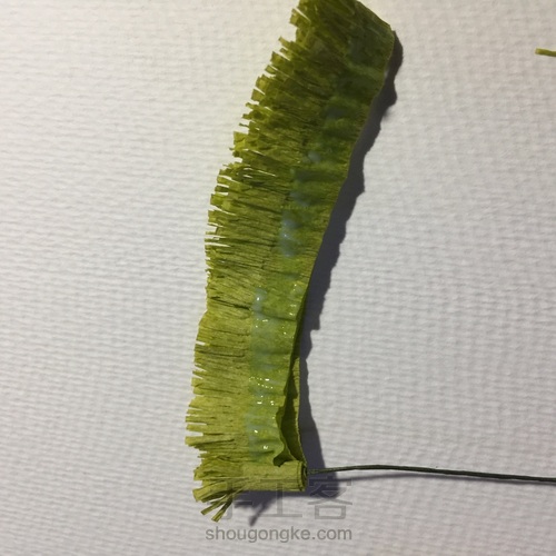 来自春天的小雏菊 第6步