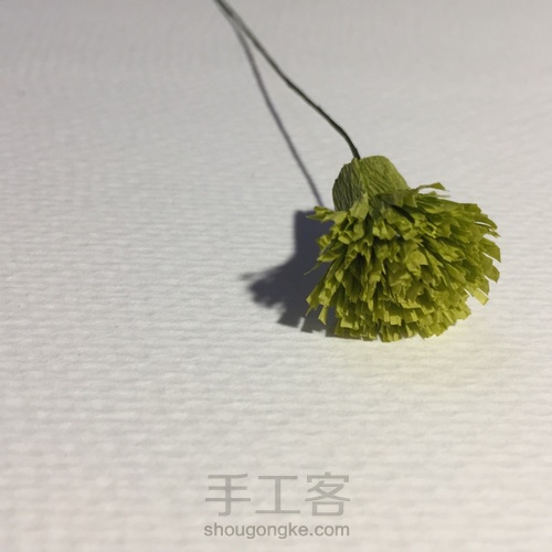 来自春天的小雏菊 第7步