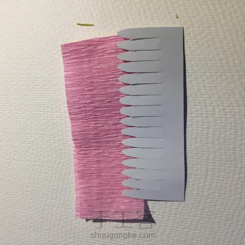 来自春天的小雏菊 第8步