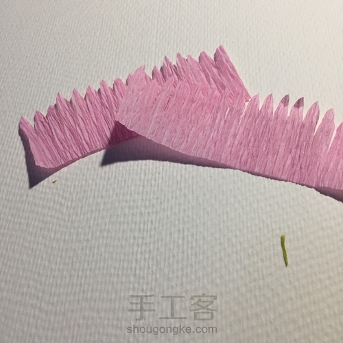 来自春天的小雏菊 第9步