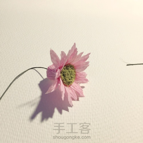 来自春天的小雏菊 第11步