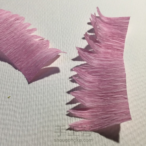 来自春天的小雏菊 第10步