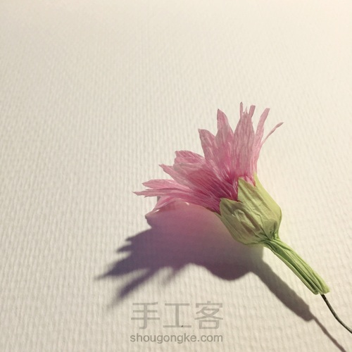 来自春天的小雏菊 第13步