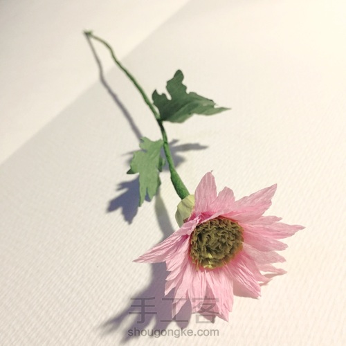 来自春天的小雏菊 第15步