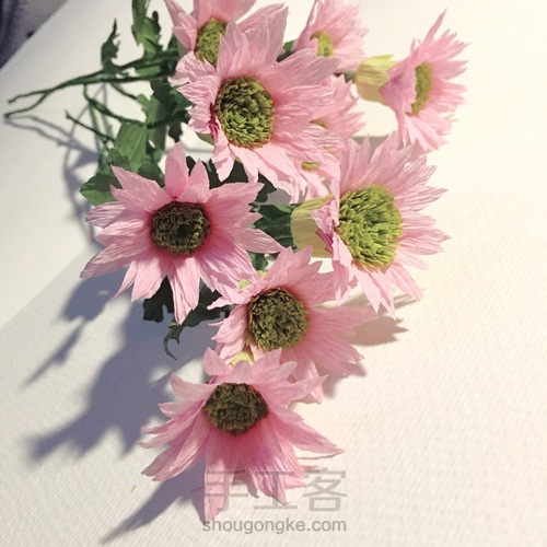 来自春天的小雏菊 第16步