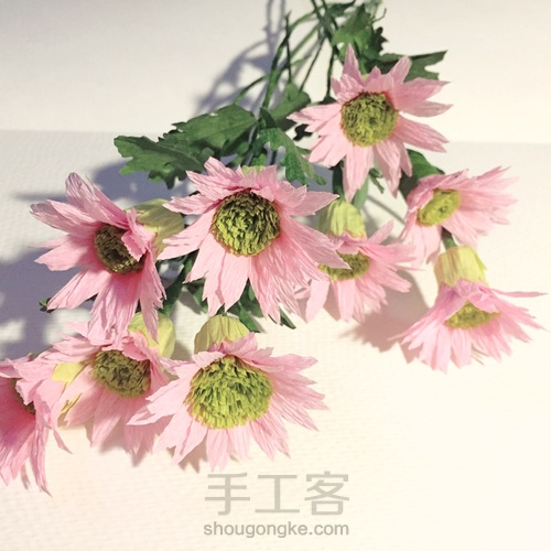 来自春天的小雏菊 第17步