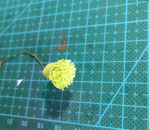 清新的白色小雏菊 第8步