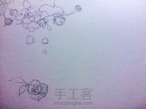 那些花儿 第1步