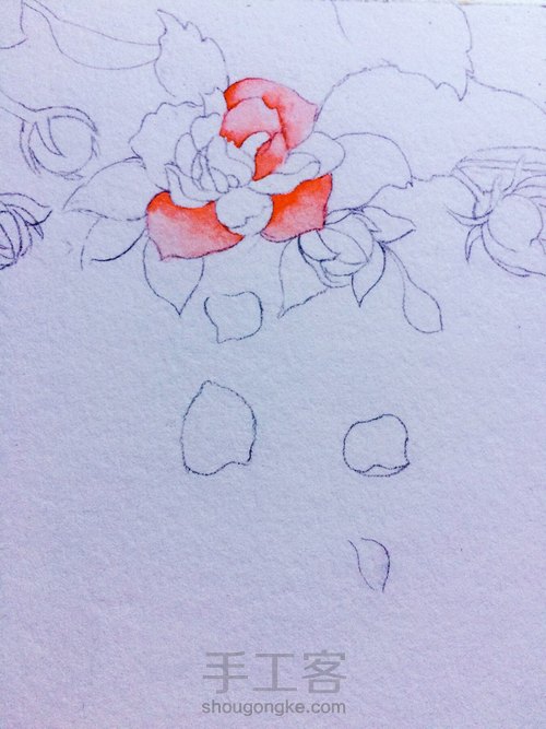 那些花儿 第4步