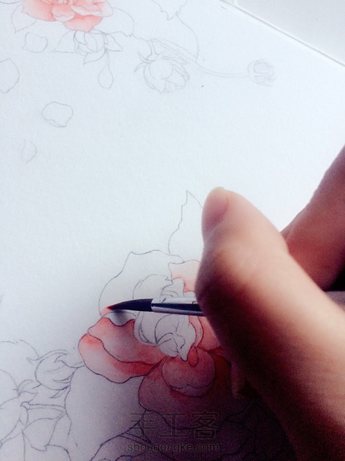 那些花儿 第5步