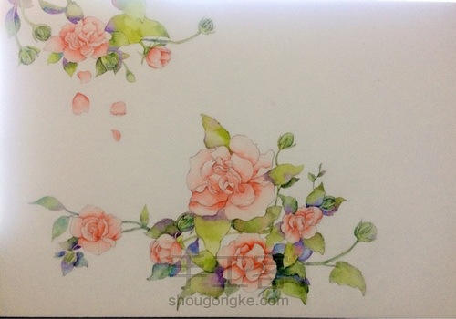 那些花儿 第8步