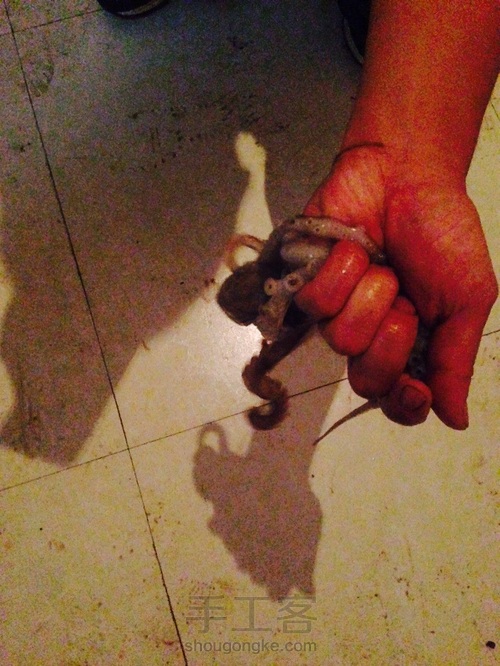 【南山笙生】舅舅结婚前夜的美食准备💕 第21步