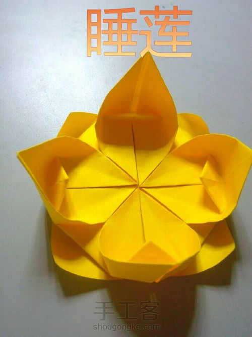 睡莲折纸 第10步