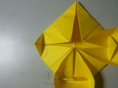 睡莲折纸 第5步