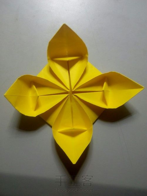 睡莲折纸 第8步