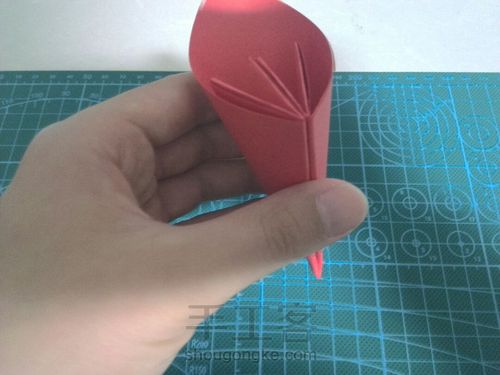 美丽樱花🌸 第10步