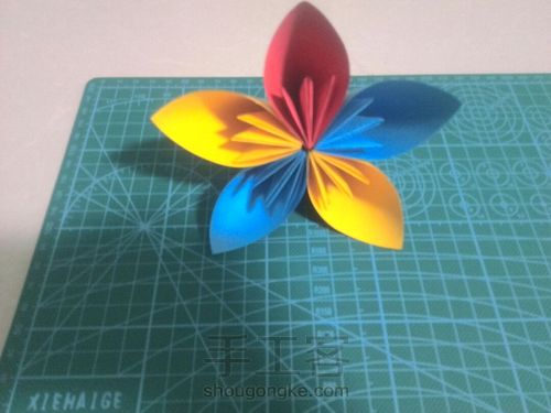 美丽樱花🌸 第14步