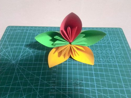 美丽樱花🌸 第15步