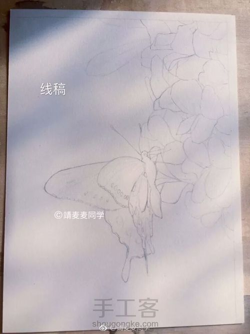 水彩花碟画 第1步