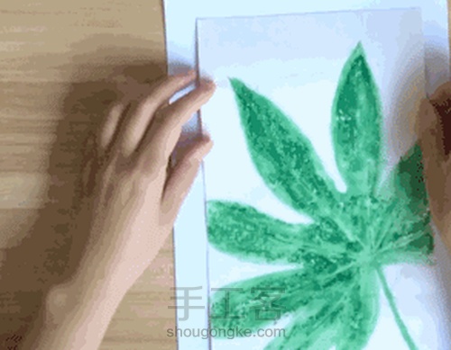 【植物系】— 植物相框 第12步