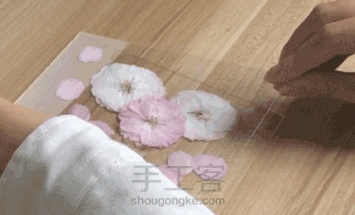 【植物系】— 植物相框 第2步