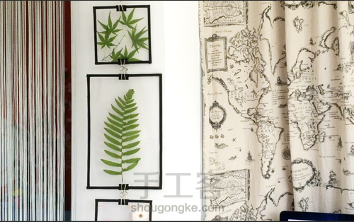 【植物系】— 植物相框 第8步