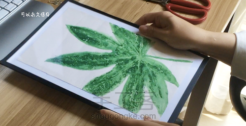 【植物系】— 植物相框 第13步